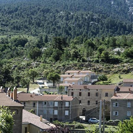 فيلا Terrasse De Malbeccu Casamaccioli المظهر الخارجي الصورة