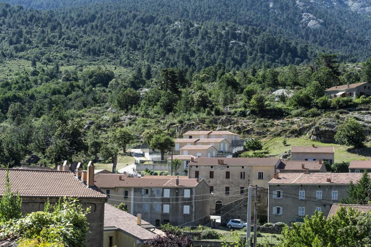 فيلا Terrasse De Malbeccu Casamaccioli المظهر الخارجي الصورة